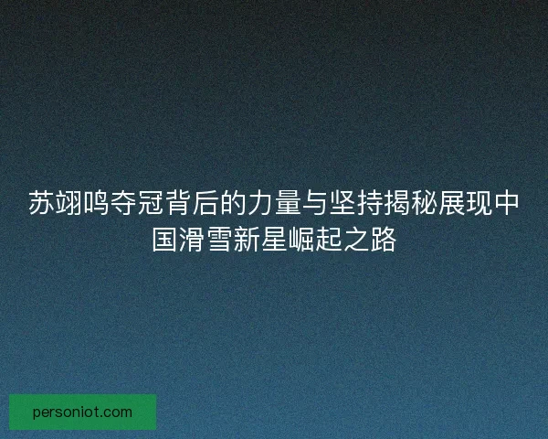 苏翊鸣夺冠背后的力量与坚持揭秘展现中国滑雪新星崛起之路